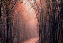 开云体育登录-蓝白风暴席卷绿茵：当世界杯王者碾压俱乐部王朝