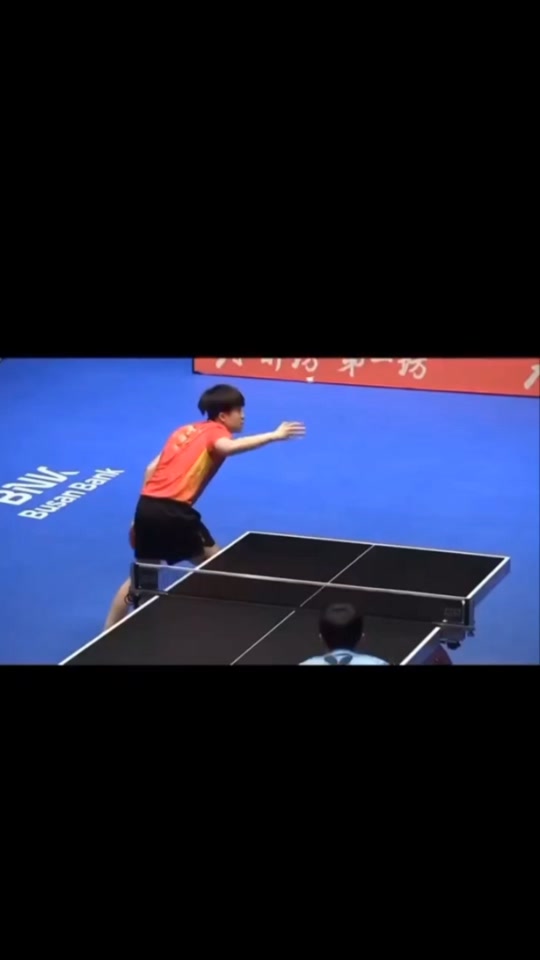 开云sport-波兰乒乓球队力克瑞典乒乓球队，许昕高光表现