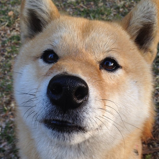 死神降临，当篮球穿越寂静，杜兰特完成窒息的轰鸣
