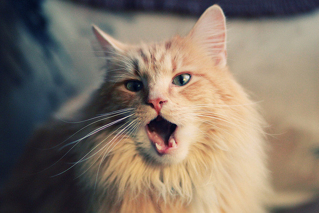 开云体育平台APP-篮球在我手心燃烧，东决关键战之夜的利拉德之火