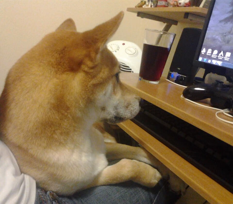 奥胡斯狂热夜，当F1争冠硝烟撞碎北美铁幕，东方铁骑的跨洋共振