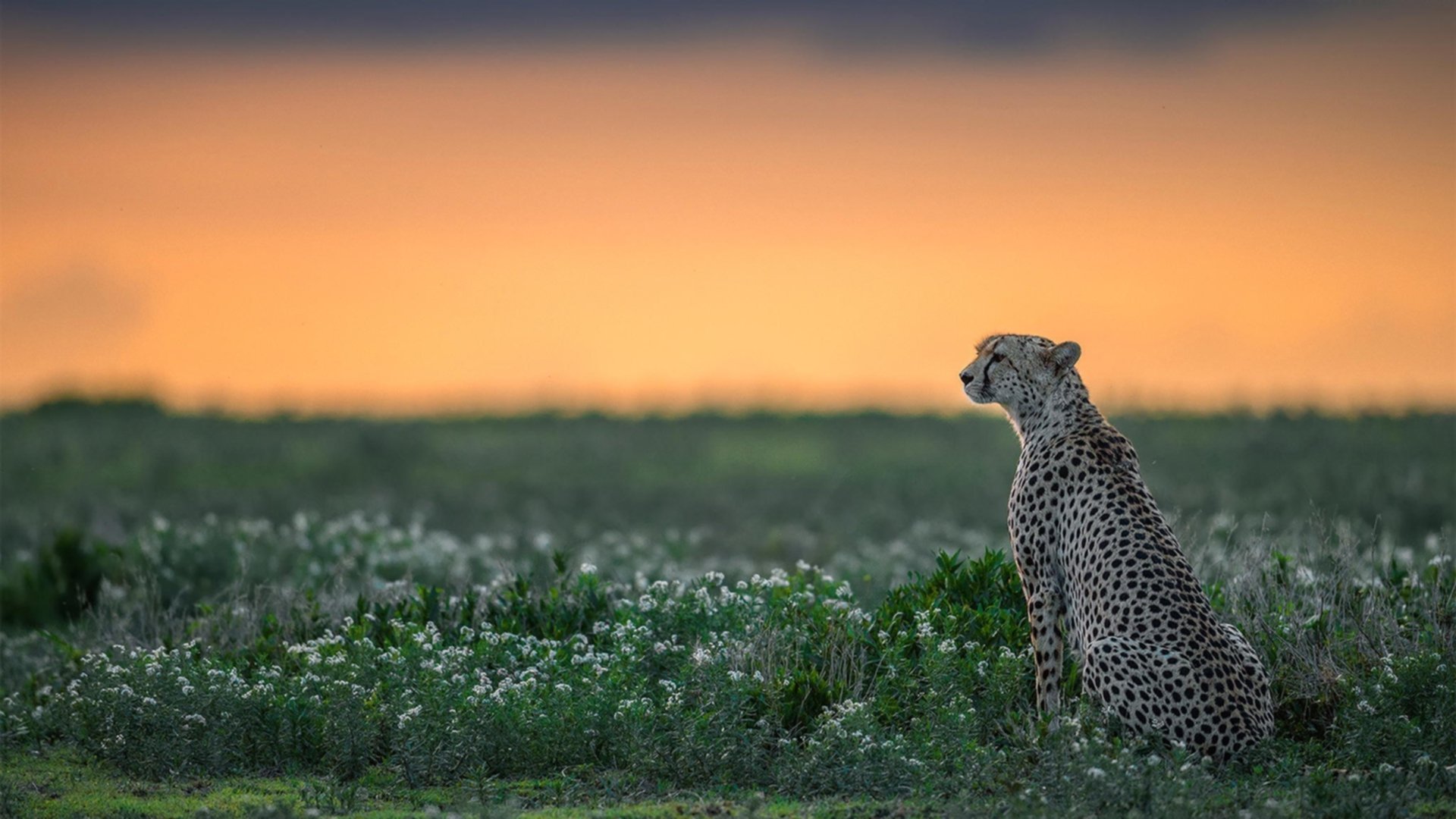 奥运周期关键战之夜,孙兴慜独造3球+绝平点球,存在感拉满