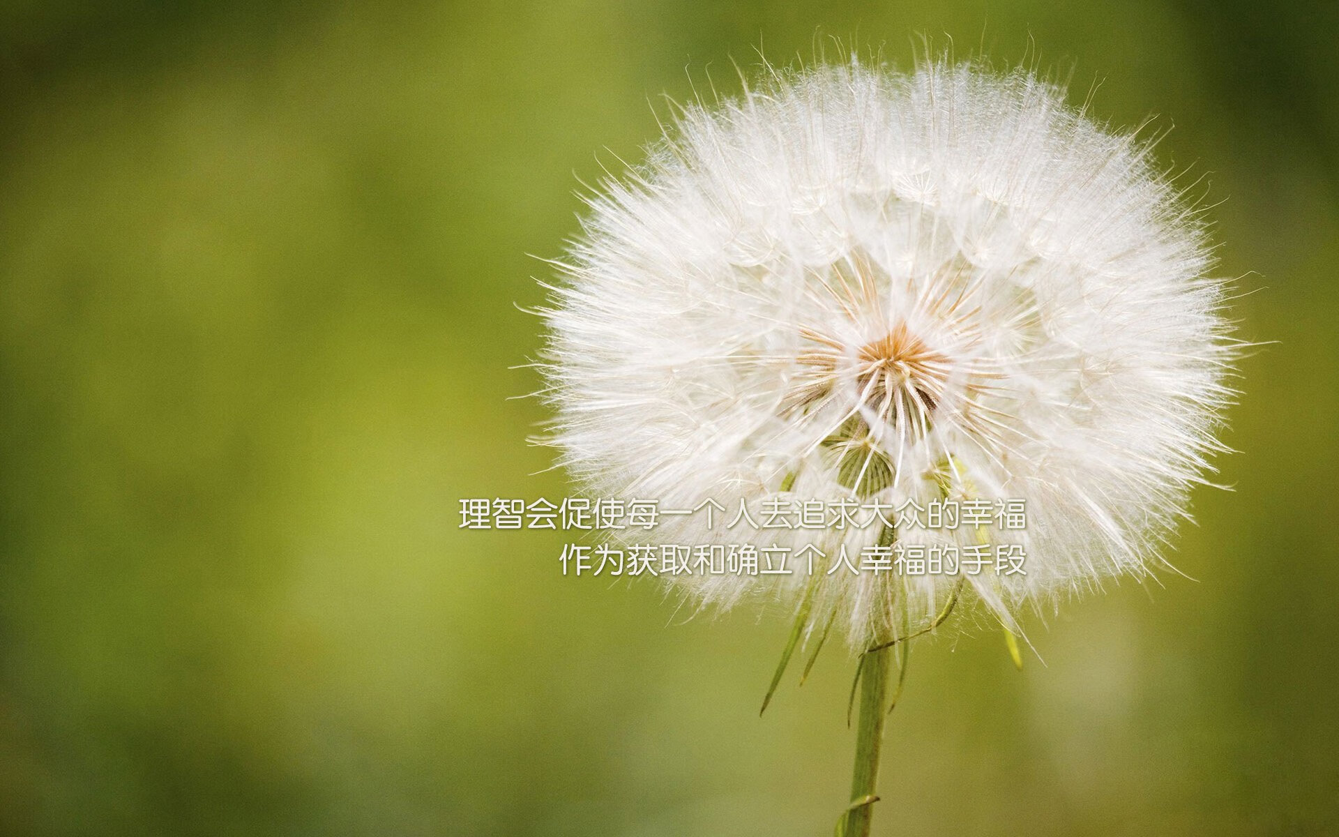 当亚平宁的海风吹过丹佛高原，两种接管，一种精神