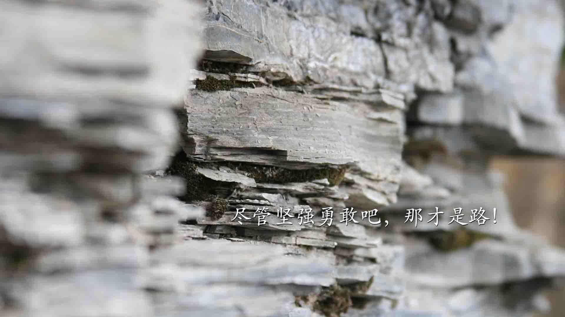 意甲焦点战之夜,范戴克数据全面爆炸,战神归来