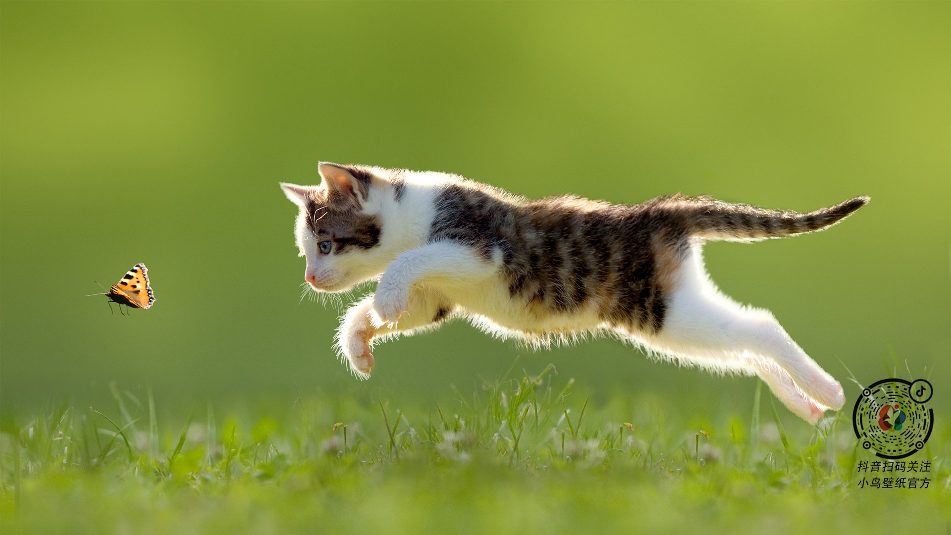 不是米勒,也不是雷吉!绝境中贝恩改写了历史定义